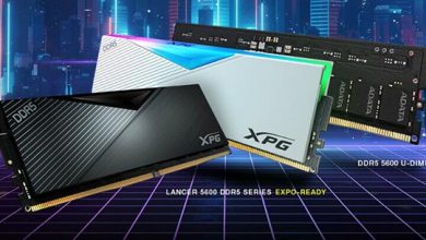 Фото - В модулях памяти XPG Lancer 5600 DDR5 реализована поддержка AMD EXPO