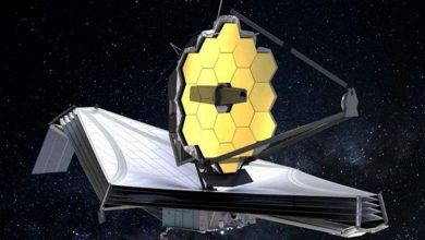 Фото - Астрономы опасаются, что космический телескоп «Джеймс Уэбб» не сможет отличить Землю от Венеры