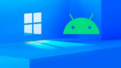 Фото - Android 13 появится в Windows 11