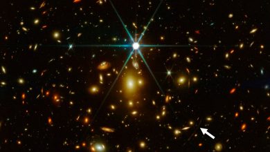 Фото - Астрономы при помощи телескопа «Джеймс Уэбб» обнаружили старейшее звёздное скопление во Вселенной