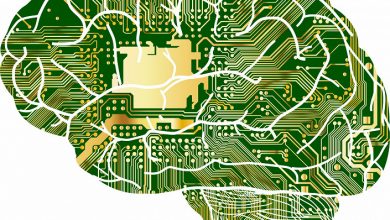 Фото - Квантовый компьютер в голове: учёные полагают, что человеческое сознание для использует работы квантовые эффекты