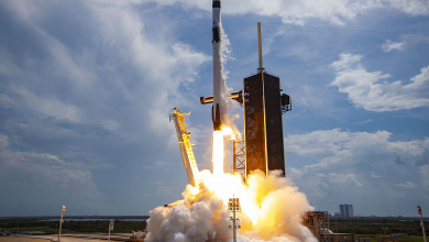 Фото - «Теперь Falcon 9 является рекордсменом по количеству запусков одного типа корабля за год», — Илон Маск поздравил команду SpaceX