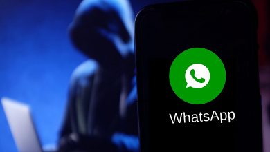Фото - WhatsApp уже 13 лет является инструментом слежки. Павел Дуров считает мессенджер опасным