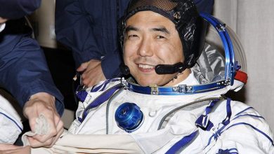 Фото - Японский астронавт подделал результаты научного эксперимента