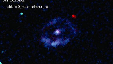 Фото - В карликовой галактике обнаружен «зародыш» сверхмассивной чёрной дыры